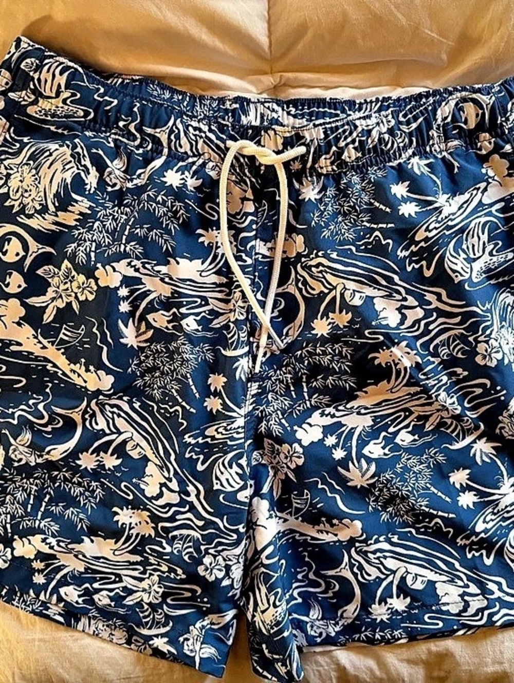 Hollister NWOT Mens Printed Swim Trunks in Blue & Cream